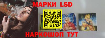 крисы Гатчина