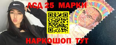 крисы Гатчина
