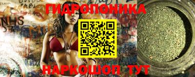 крисы Гатчина