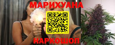 крисы Гатчина