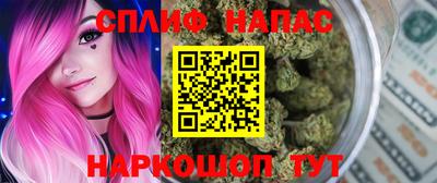 молекула духа Берёзовский