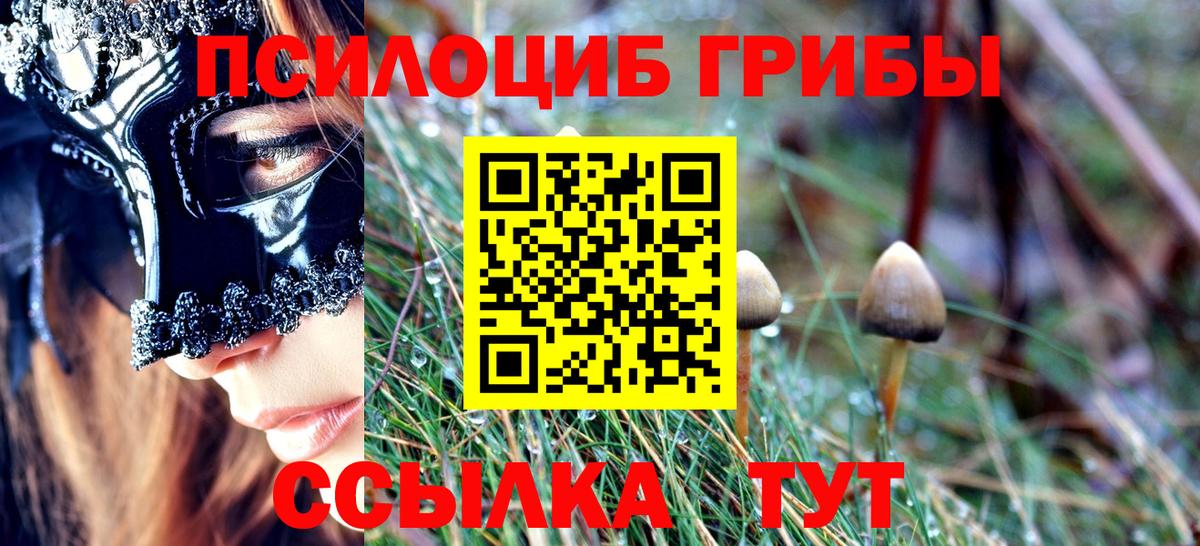 Галлюциногенные грибы Psilocybe  Псилоцибиновые грибы ЛСД  Иваново 