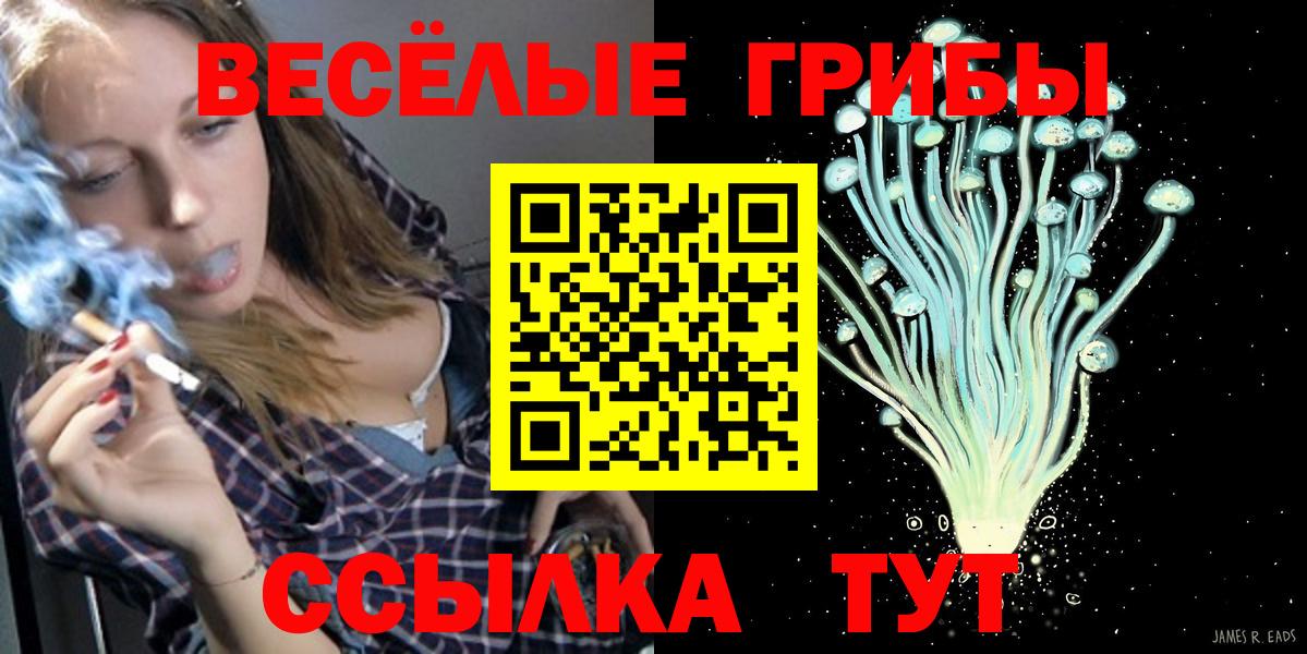 Галлюциногенные грибы Cubensis Иваново