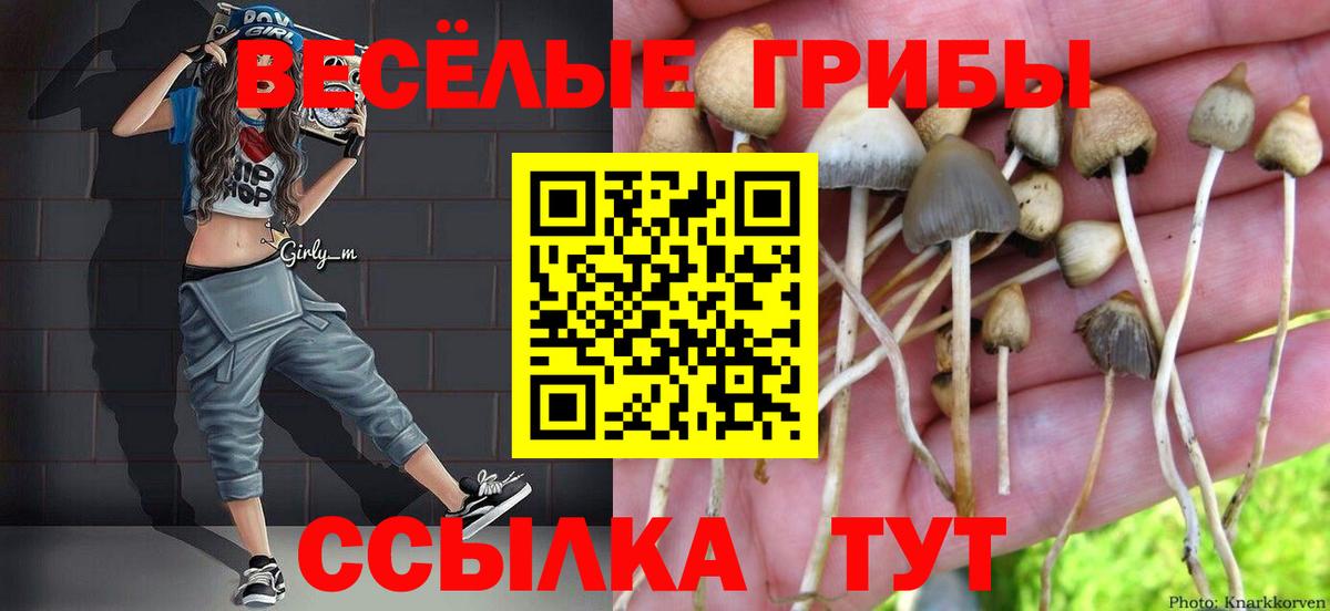 Галлюциногенные грибы Psilocybine cubensis  Псилоцибиновые грибы мухоморы  Иваново  Вход с VPN 