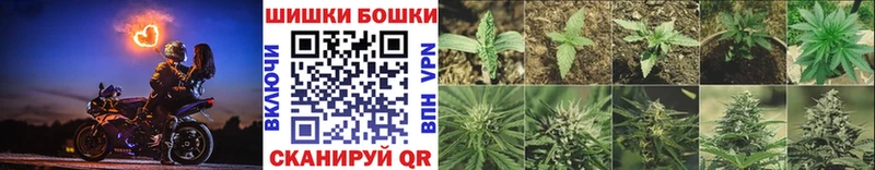 купить наркотики сайты  Иваново  Шишки марихуана MAZAR 